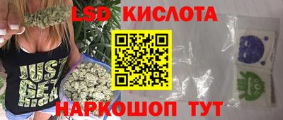 стафф Донецк