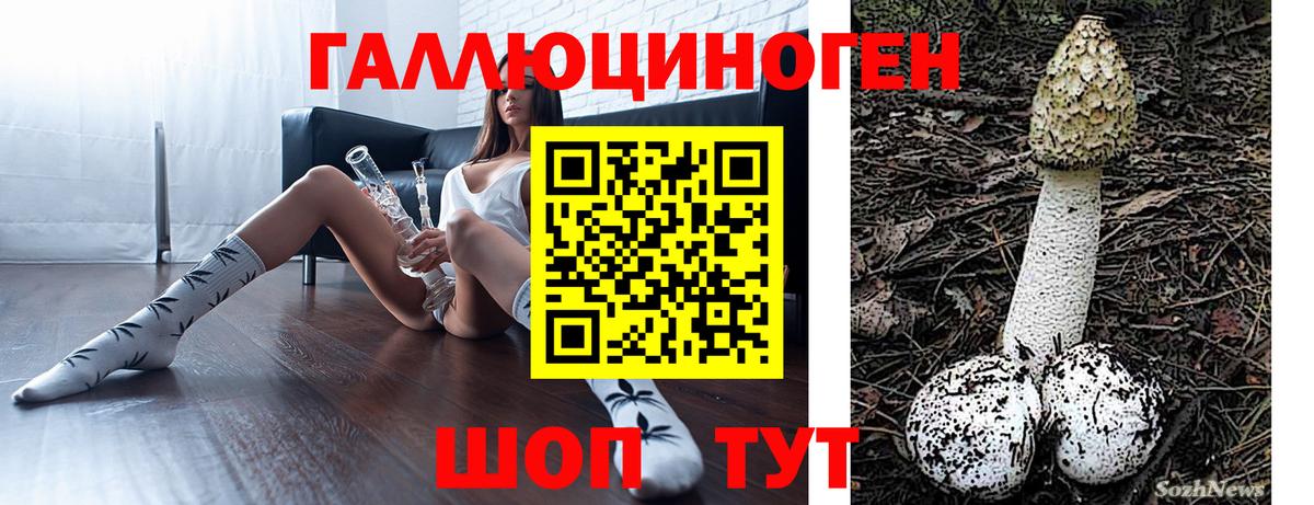 Псилоцибиновые грибы MAGIC MUSHROOMS  Вход с VPN  Кызыл  Псилоцибиновые грибы Psilocybe 