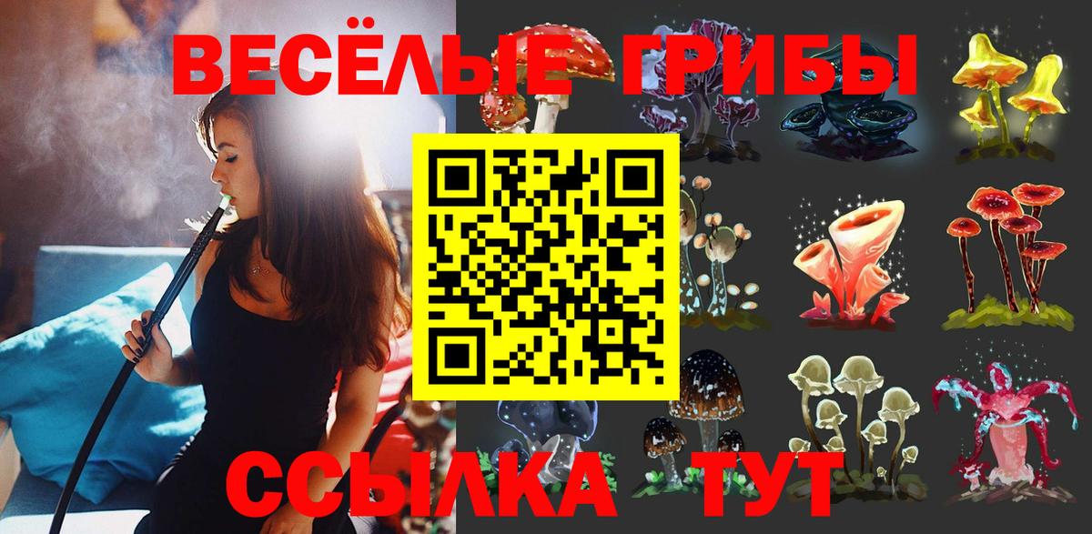 Каннабис  Вход с VPN  Мефедрон кристаллы  Кызыл  АМФЕТАМИН кристаллы  ГАШ  COCAIN 